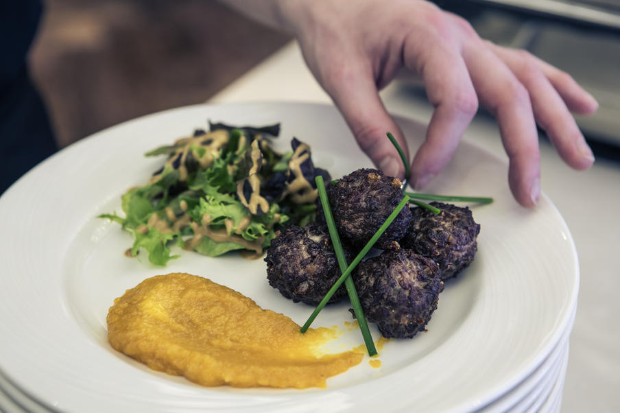 Dinner plate of venison balls with a side salad
