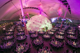 Dynamic Earth Gala Dinner