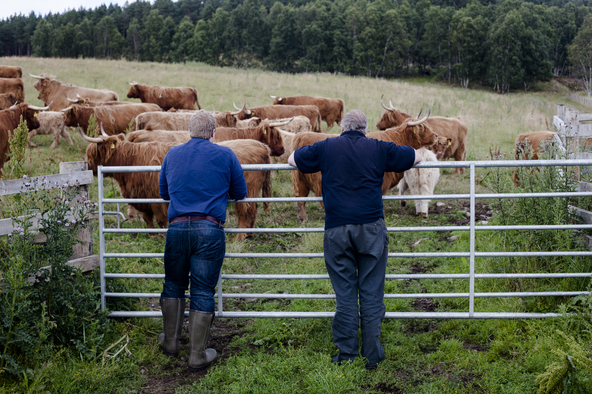 Farmers at Culfoich Estate 