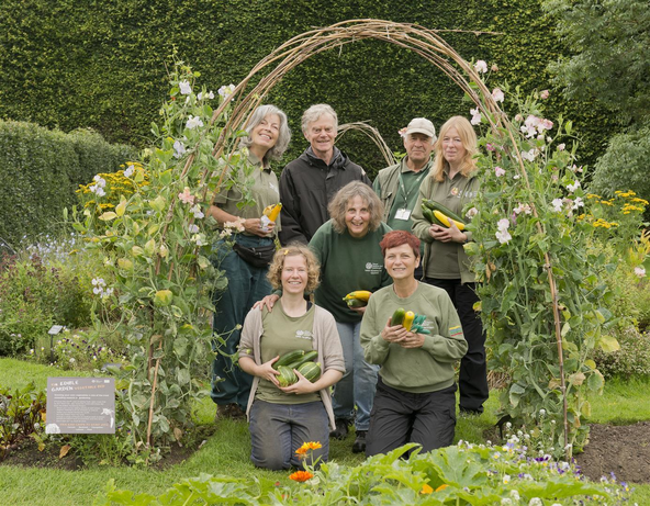 Edible Garden Volunteers