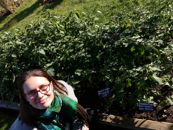 African supervegetables growing outside at RBGE in Scotland