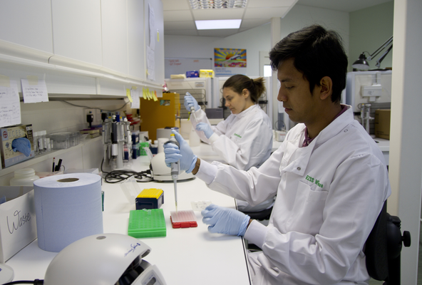 The RZSS WildGenes laboratory is fully equipped for dealing with a wide range of genetic samples