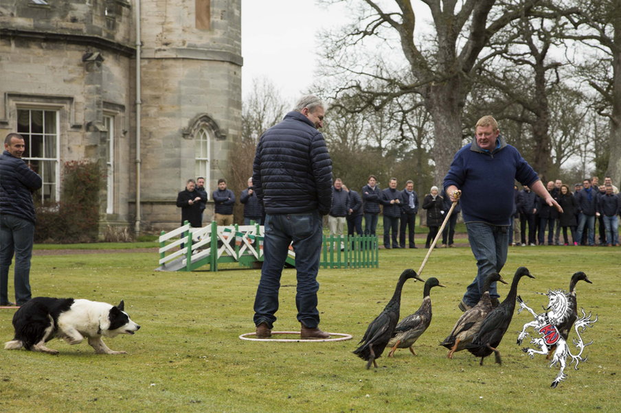 Our clients enjoying themselves while participating in wonderful activities prepared for them in the grounds of a castle. They took part in some Scottish pastimes including falconry, archery and dog and duck herding!

