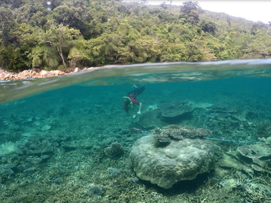 Heriot-Watt Researchers Underwater